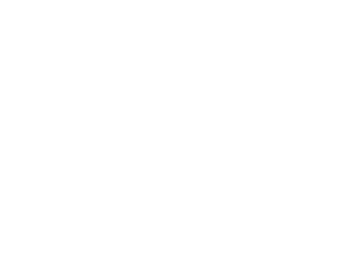 Iron Fact